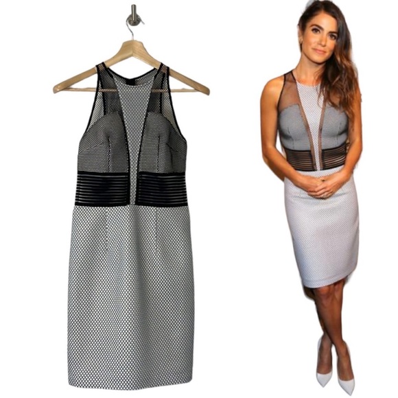 SACHIN + BABI Convergence Sleeveless Mesh Mixed Media Sheath Dress  🤍🖤 - Picture 2 of 10